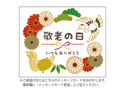 【敬老の日ギフト】9/11～9/15にお届け‼岡山県産『シャインマスカット＆ピオーネ』いろどりセット1.2kg