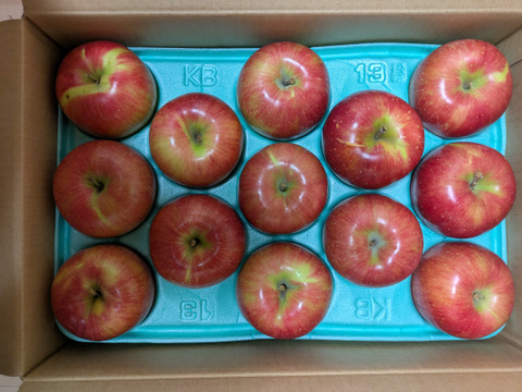 甘くて美味い！シナノスイート　長野県産　ご家庭用　約10kg(20個〜40個)