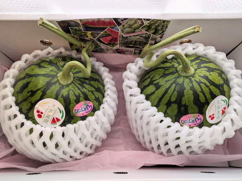 【​限​定​販​売​】 金の土】熊本県植木産スイカ！！小玉スイカ2個入(ひとりじめ）3L 果物