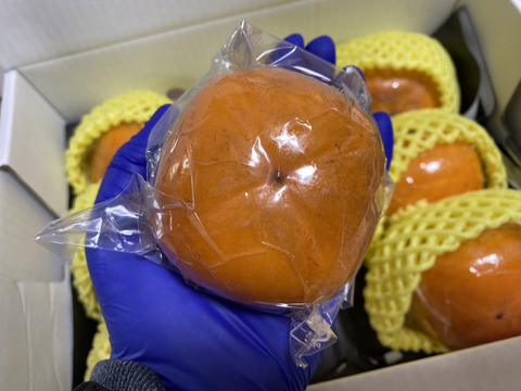 冷蔵柿！種なし！　まるせい果樹園の刀根早生　1キロ　　kr1