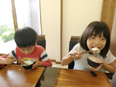 【令和3年新米】ママ！僕このご飯が好き！毎日食べれる！リーズナブルな新潟米！令和３年産　新潟岩船米　泥根性こしいぶき10kg（5kg×2）