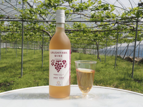 【ギフトや手土産にも】漆山果樹園ワイン3本セット★自家栽培デラウェアワインとシャインマスカット×ロザリオビアンコワインのセット