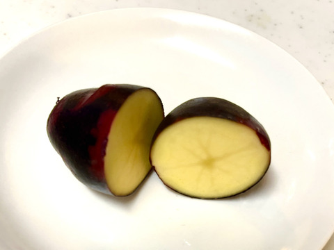 【土付き】ねっとり食感の派手なじゃがいも「グラウンドペチカ（デストロイヤー）」 ２キロ箱