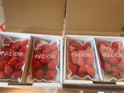 果汁たっぷり❗やよいひめ『群馬いちご』320g×4トレー（2箱）