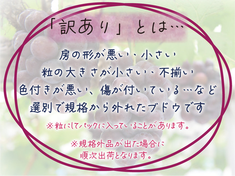 花笑み農園　岡山の訳ありブドウ3種MIX1kg【9/18～順次発送】W3M-1