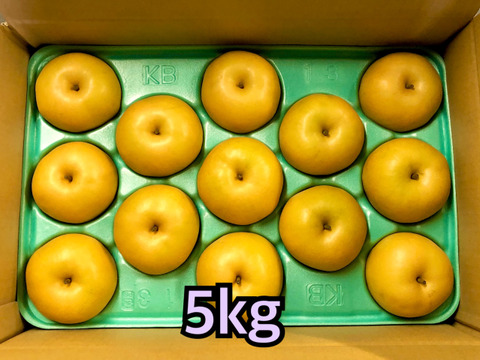 梨　南水　良品　長野県産　大好評‼️
　約5kg(10個〜14個)