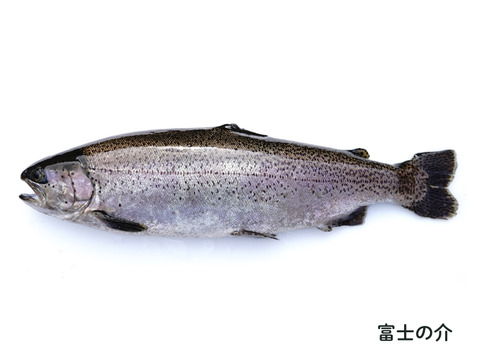 【福袋】【山梨の鱒】たっぷり7点セット！贈り物にもオススメ！【冬ギフト】