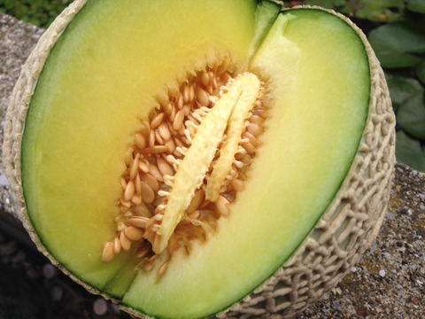 👑シーズンわずか1%希少なキングダムメロン👑海外セレブが指名してまで食べたいメロン王国が誇る渥美半島ブランド最高級最高峰【贈答用】【お中元ギフト】【7月下旬予約】