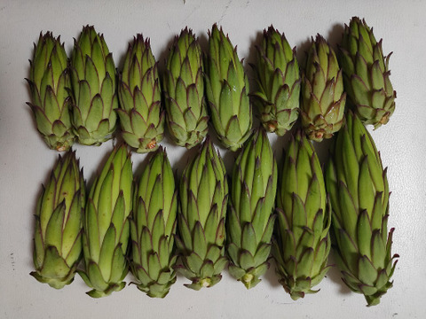 ドラゴンフルーツの蕾　800g