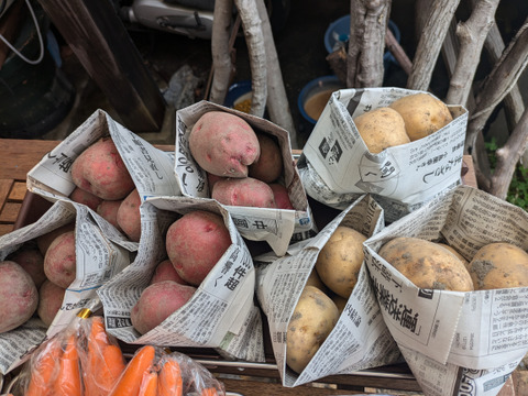 じゃがいも２種食べ比べ/アンデスレッド2.5kg/デジマ2.5kg/計５kg【栽培期間中農薬不使用】数量限定