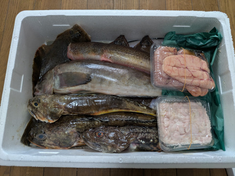 漁師の店　冬の海鮮BOX