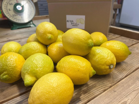 【南河内産レモン】少々キズあり 約3キロ(16～20個)