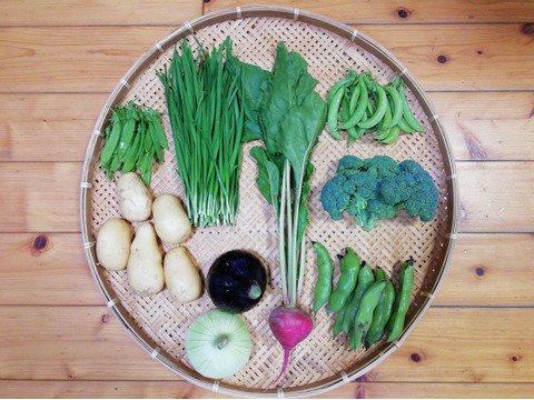 【農薬・化学肥料不使用】【クールで対応】野菜セット【新ジャガイモ(500g前後)付き】【5~7種類の野菜】(60サイズ箱)