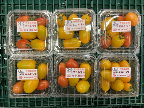 【有機JAS認証】香川産有機ミニトマト　何が届くかはお楽しみ！　3kg
「千果」「オレンジ千果」「アイコ」イエローアイコ」