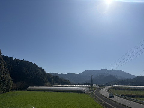 【細め1kg】生でも食べれる湧水で育てたアスパラガス 1.8kg佐賀県伊万里産