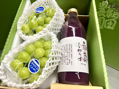 【夏ギフト】シャイン2房+濃厚ぶどう100%ジュース1本