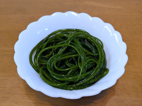 【漁師も知らない海藻！】山陰産「ツルモ」500g　※シャキシャキ食感！！