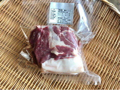 特Aクラス🏆✨イノシシ《ジビエ》【希少❣️猪肉肩ロース 370g ブロック】250325-6