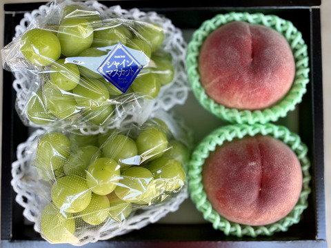 【夏ギフト】ハウスシャインと桃の詰め合わせ〜山梨産果物の恵み〜