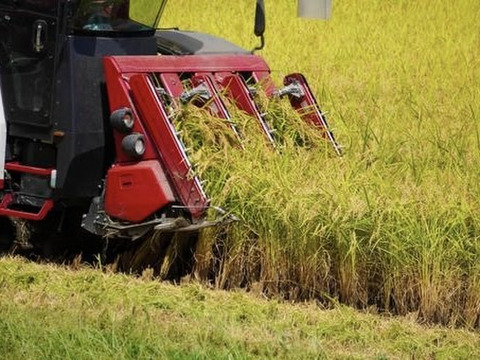 2026.R8 新米　九州米　福岡県産　ヒノヒカリ5kg
