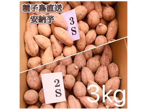 【絶品】aimo農園｜種子島産 安納芋 3S&2S 混合3kg(箱別)
