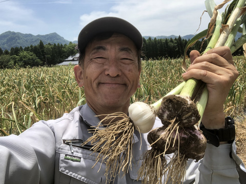 【くまもと阿蘇の恵】１箱限定販売！　料理の旨味アップ！初物Ｌサイズにんにく１Kg　ホワイト種より濃い味の嘉定種
１箱限定なので写真そのものを販売します。