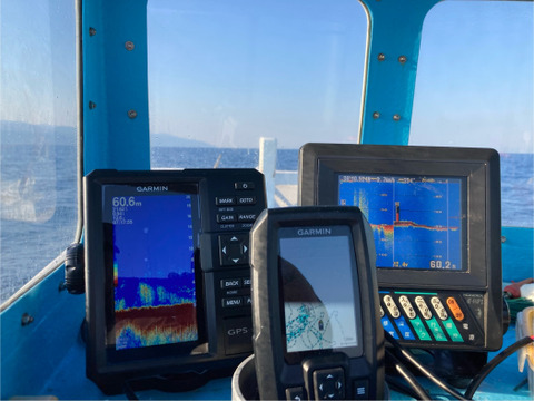 キジハタ(福アコウ) 1.0KG (プロ用)