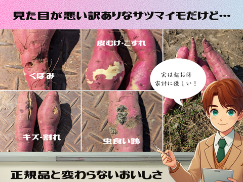 ネットリ甘ーい紅はるかを愛情価格でお届け！(10kg）