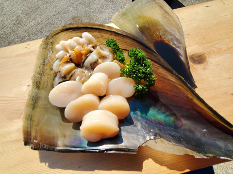 瀬戸のダイヤモンド💎タイラギ貝　(ご家庭用・300g・約10粒前後)