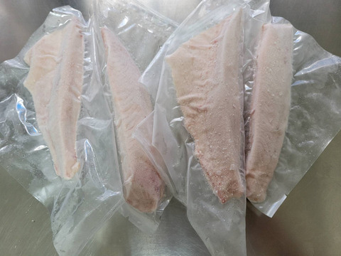 【福袋】お魚加工ノ-マル、ヨコ(クロマグロ子供)お刺身用セット