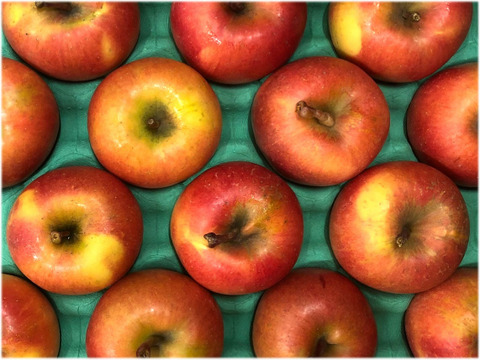 「話題の こうとく !! 」【家庭用】約2.7Kg青森県産 数量限定 高徳 りんご 『話題のリンゴはここみつけたら即買いをお勧めします!!』 林檎 apple