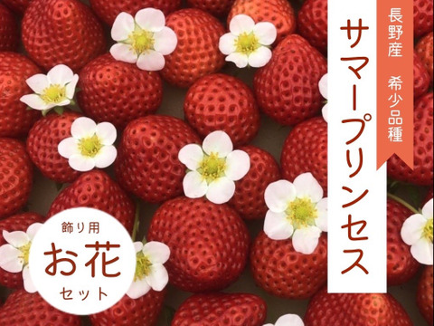 子どもが喜ぶ夏イチゴ☆7月限定の超大粒☆(2025年7月お届け)