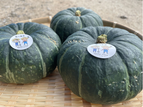 農薬・化学肥料栽培中不使用！栄養満点のミニカボチャ2kg