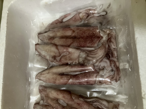 今だけ ✨️季節限定 
五島列島産 海の幸 詰め合わせセット✨
旬の魚バラエティ
何が入るかお楽しみ！！