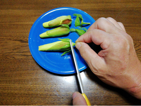 【農薬・化学肥料不使用】花オクラ入り野菜セット【６～８種類の野菜】【食べ方説明書付き】【金曜日クール便で発送】【あわせ買い可】【熨斗(のし)対応可】【８０サイズ箱】