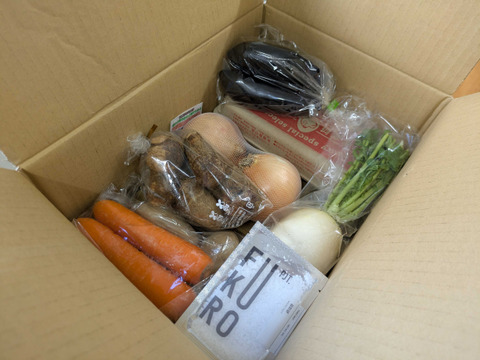 【手間いらず】整い蒸し野菜セット（7~8品目+季節の塩お試しサイズ付き）