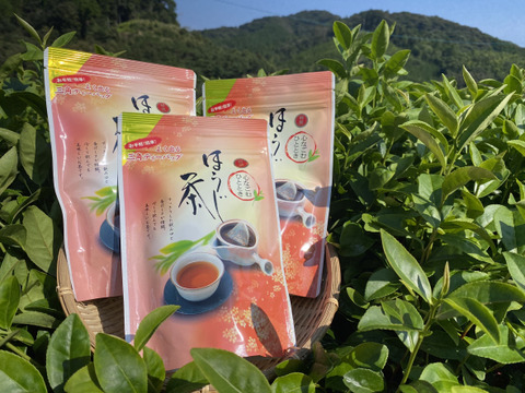希少★釜炒りほうじ茶 ティーパック(R7年産一番茶)5g×20p100g×3袋セット