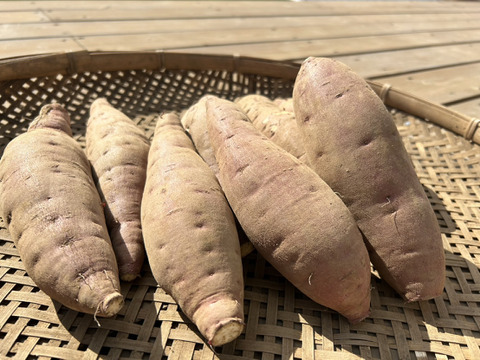 【ねっとり甘い】熟成有機さつまいも 紅はるか 5kg（訳あり・家庭用／農薬不使用）