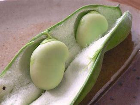 予約販売

自然農栽培のエンドウ豆セット　（スナップエンドウ、大サヤエンドウ、碓井エンドウ、そら豆）など。