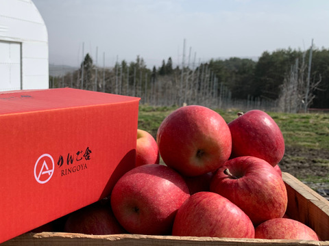 【蔵出しサンふじ】(2kg・大玉6個入り)まだまだシャキシャキ・ジューシーお得な自家食用