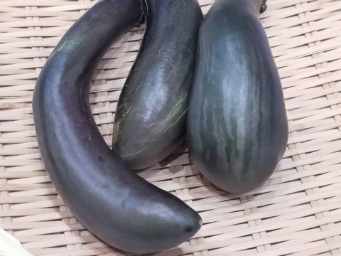 しまトラ♪なす（ふわとろ長）2Kg