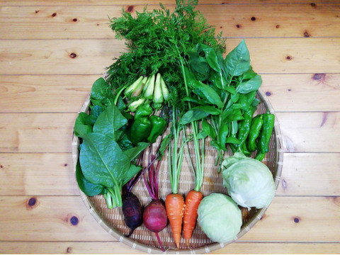【農薬・化学肥料不使用】【クールで対応】野菜セット【必ずビーツ入り】【6~8種類の野菜】【80サイズ箱】