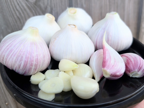 《香りバツグンです》フレッシュにんにく１KG 五島列島産 自然農業での栽培 ニンニク