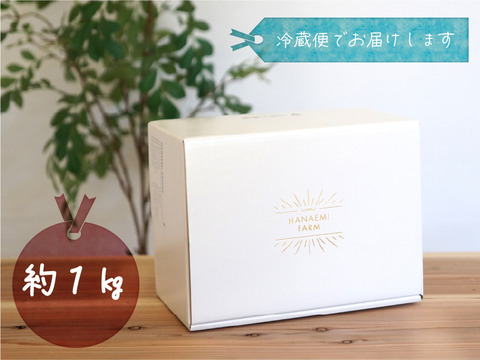 花笑み農園　岡山のピオーネ＆シャインマスカット1kg【9/18～順次発送】PS-1
