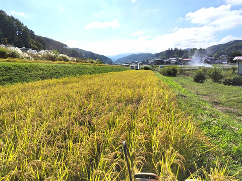 農薬化学肥料不使用・お弁当やおにぎりに！『たきたて』玄米5kg 令和７年産　信州佐久穂町　うるち米