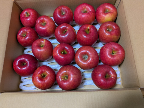 あいかの香り5kg15~20玉