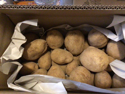 こしあん様専用