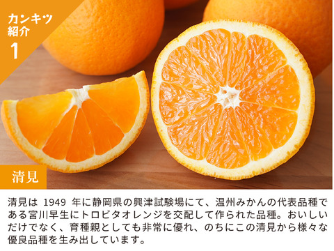 【食べ比べ】みかん・カンキツ詰め合わせセット5kg｜和歌山県海南市下津町から旬のみかん・かんきつ詰合わせセットを産地直送、農園直送でお届け。清見、セミノール、甘夏、八朔等、様々な柑橘が楽しめます