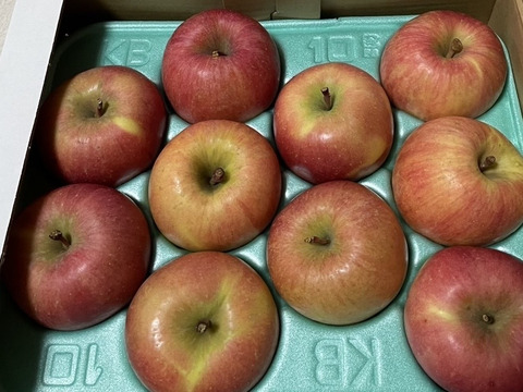 完売御礼【特別栽培りんご】蜜入り🍎こうとく2kg 葉とらずりんご 農薬50%減＋化学肥料不使用 希少品種　キズなし良品　ギフト