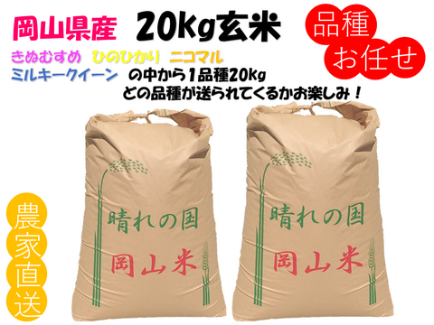 品種お任せ「ミルキークイーンorにこまるorヒノヒカリorきぬむすめ」岡山県産 玄米 20kg